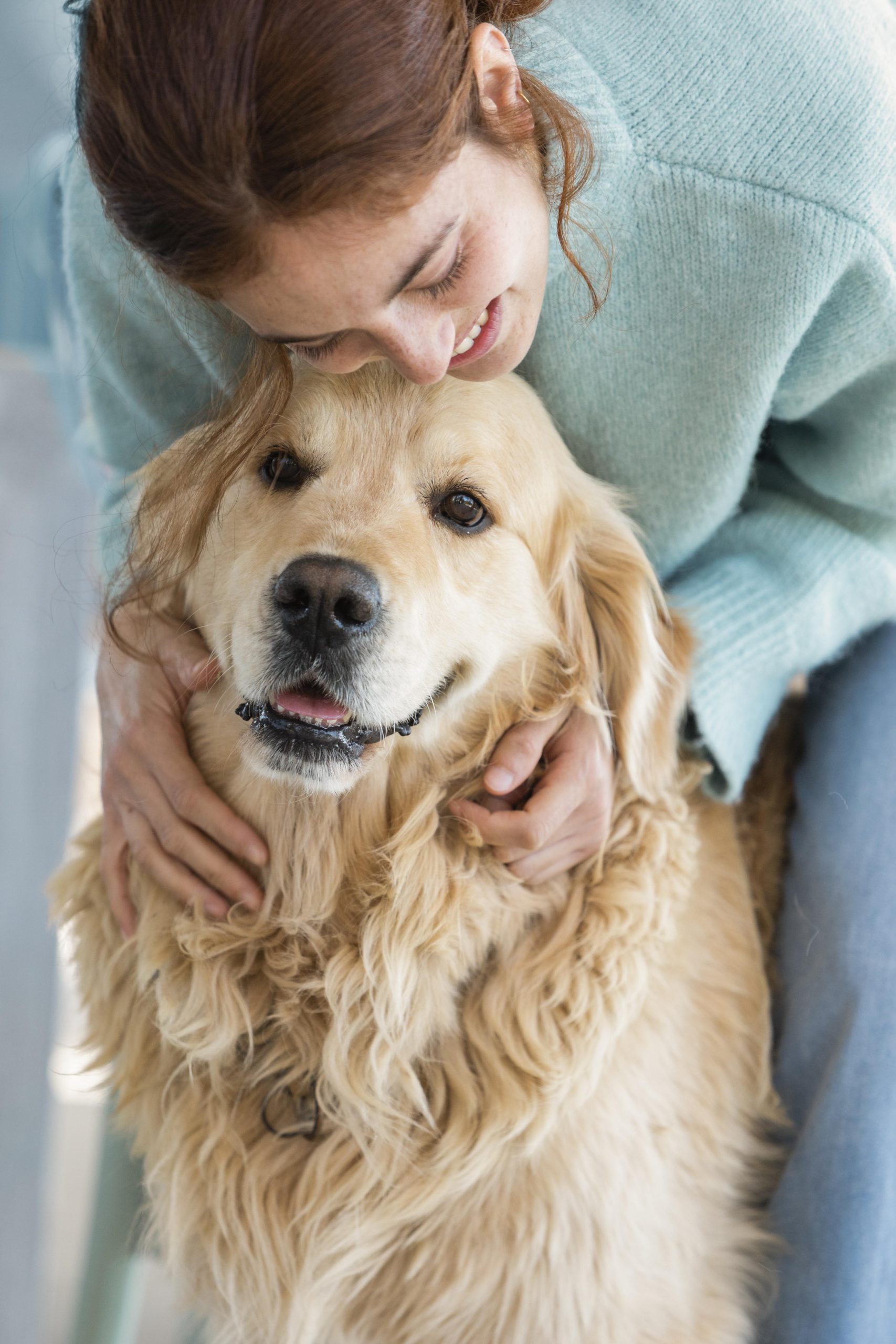 Epilepsi Nöbeti Geçiren Bir Köpeği Ne Beslememeliyiz?